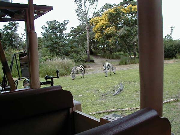 P6220305