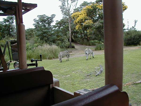 P6220306