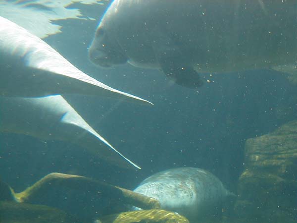 P6240063