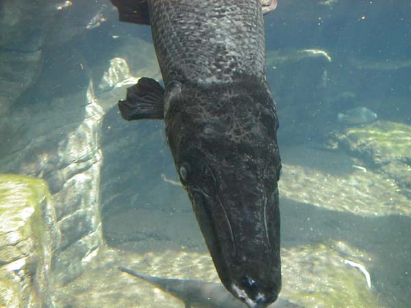 P6240066